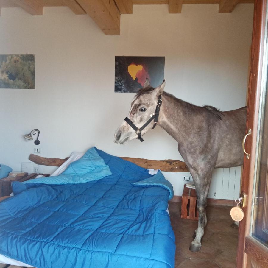 Agriturismo La Caraffara Sull' Etna Puntalazzo Extérieur photo