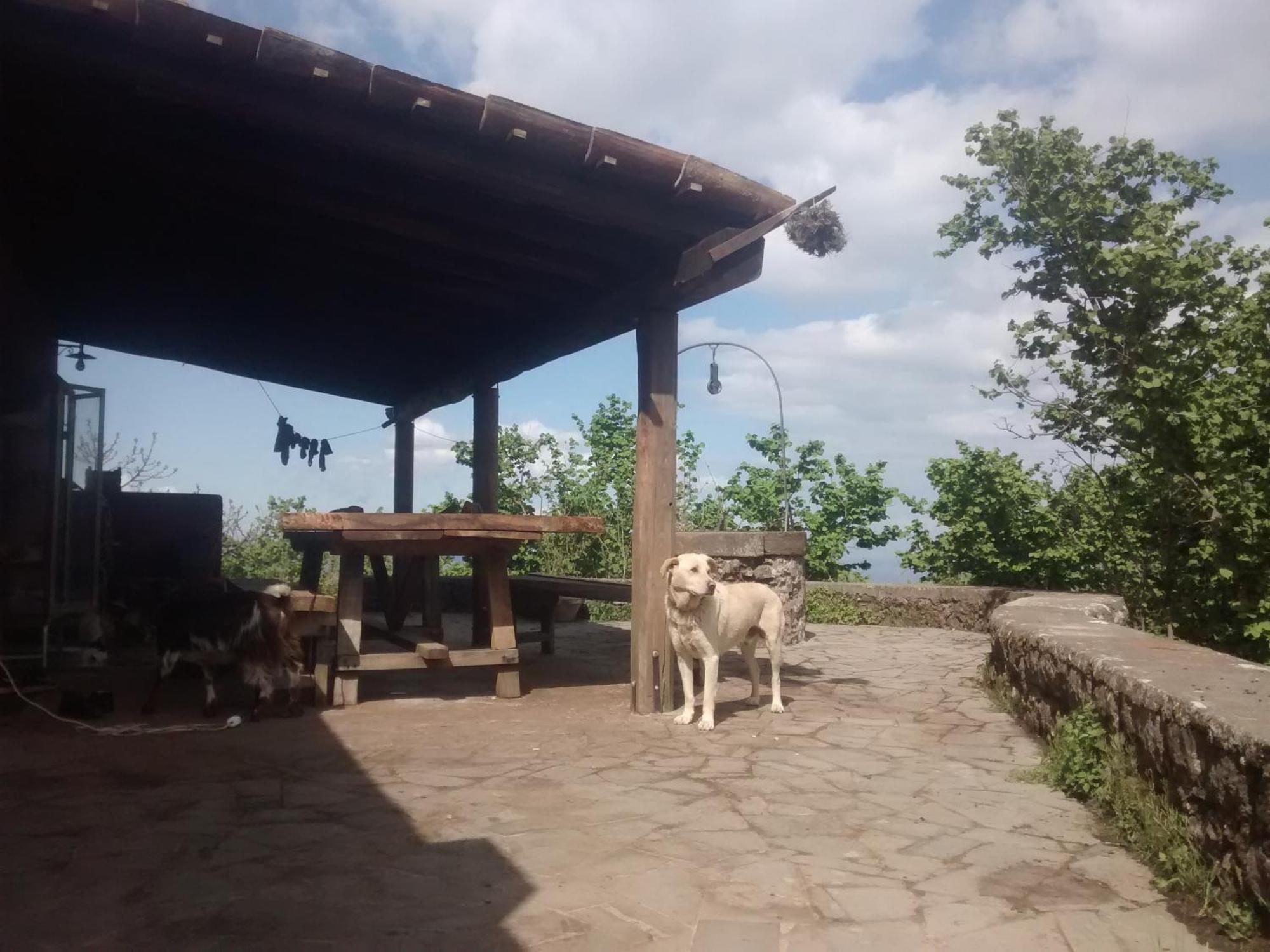 Agriturismo La Caraffara Sull' Etna Puntalazzo Extérieur photo